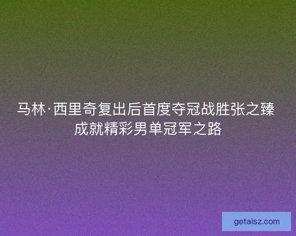 马林·西里奇复出后首度夺冠战胜张之臻 成就精彩男单冠军之路